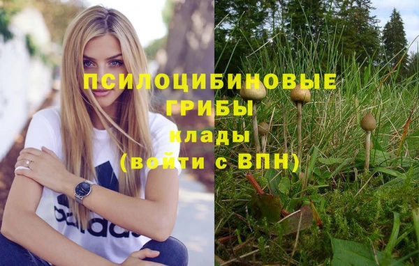наркотики Белокуриха